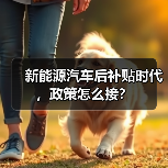 新能源汽车后补贴时代,政策怎么接?(图2) 新能源汽车后补贴时代,政策怎么接?(图2)