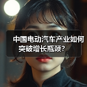 中国电动汽车产业如何突破增长瓶颈？（图4）