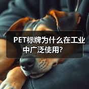 PET标牌为什么在工业中广泛使用?(图1) PET标牌为什么在工业中广泛使用?(图1)