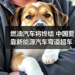 燃油汽车将终结 中国要靠新能源汽车弯道超车了!(图2) 燃油汽车将终结 中国要靠新能源汽车弯道超车了!(图2)