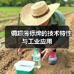 铜超薄标牌的技术特性与工业应用(图2) 铜超薄标牌的技术特性与工业应用(图2)