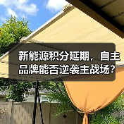新能源积分延期,自主品牌能否逆袭主战场?(图2) 新能源积分延期,自主品牌能否逆袭主战场?(图2)