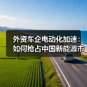 外资车企电动化加速：如何抢占中国新能源市场？（图2）