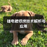 镍电镀标牌技术解析与应用（图3）