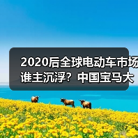 2020后全球电动车市场谁主沉浮?中国宝马大众引领 FCA丰田落后(图4) 2020后全球电动车市场谁主沉浮?中国宝马大众引领 FCA丰田落后(图4)