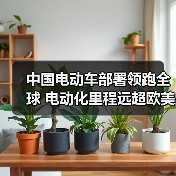 中国电动车部署领跑全球 电动化里程远超欧美日韩(图2) 中国电动车部署领跑全球 电动化里程远超欧美日韩(图2)