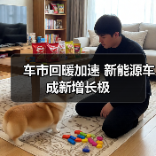 车市回暖加速 新能源车成新增长极（图2）