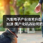 汽车电子产业技术升级加速 国产化机遇如何把握?(图3) 汽车电子产业技术升级加速 国产化机遇如何把握?(图3)