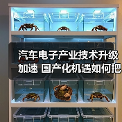 汽车电子产业技术升级加速 国产化机遇如何把握?(图4) 汽车电子产业技术升级加速 国产化机遇如何把握?(图4)