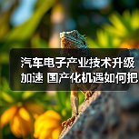汽车电子产业技术升级加速 国产化机遇如何把握?(图2) 汽车电子产业技术升级加速 国产化机遇如何把握?(图2)