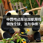 中国电动车总续航里程领跑全球,谁与争锋?(图2) 中国电动车总续航里程领跑全球,谁与争锋?(图2)