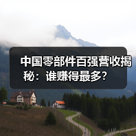 中国零部件百强营收揭秘:谁赚得最多?(图2) 中国零部件百强营收揭秘:谁赚得最多?(图2)