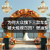 为何大众旗下三款车型被大规模召回?燃油泵隐患曝光!(图2) 为何大众旗下三款车型被大规模召回?燃油泵隐患曝光!(图2)