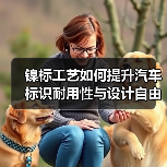镍标工艺如何提升汽车标识耐用性与设计自由？（图4）