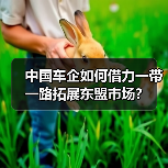 中国车企如何借力一带一路拓展东盟市场?(图3) 中国车企如何借力一带一路拓展东盟市场?(图3)