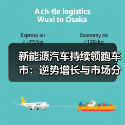 新能源汽车持续领跑车市：逆势增长与市场分化并存（图3）
