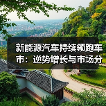 新能源汽车持续领跑车市：逆势增长与市场分化并存（图1）