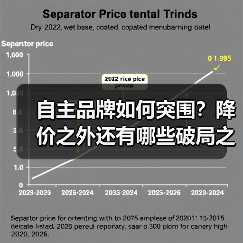自主品牌如何突围?降价之外还有哪些破局之道?(图3) 自主品牌如何突围?降价之外还有哪些破局之道?(图3)