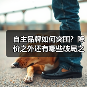 自主品牌如何突围?降价之外还有哪些破局之道?(图2) 自主品牌如何突围?降价之外还有哪些破局之道?(图2)