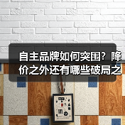 自主品牌如何突围?降价之外还有哪些破局之道?(图1) 自主品牌如何突围?降价之外还有哪些破局之道?(图1)