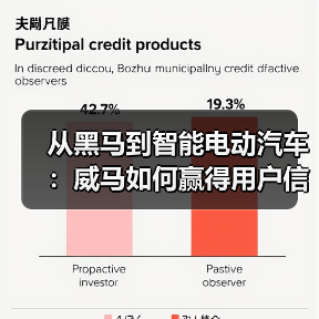 从黑马到智能电动汽车:威马如何赢得用户信任?(图2) 从黑马到智能电动汽车:威马如何赢得用户信任?(图2)