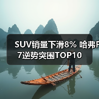 SUV销量下滑8% 哈弗F7逆势突围TOP10(图1) SUV销量下滑8% 哈弗F7逆势突围TOP10(图1)