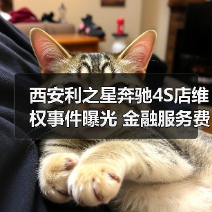 西安利之星奔驰4S店维权事件曝光 金融服务费争议引关注(图3) 西安利之星奔驰4S店维权事件曝光 金融服务费争议引关注(图3)