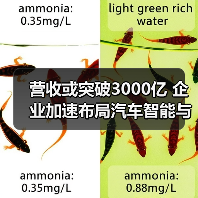 营收或突破3000亿 企业加速布局汽车智能与物联网(图4) 营收或突破3000亿 企业加速布局汽车智能与物联网(图4)