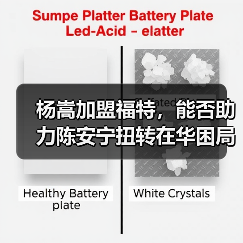 杨嵩加盟福特，能否助力陈安宁扭转在华困局？（图4）