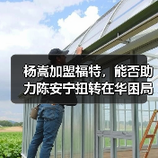 杨嵩加盟福特，能否助力陈安宁扭转在华困局？（图3）