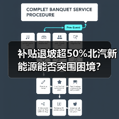 补贴退坡超50%北汽新能源能否突围困境?(图2) 补贴退坡超50%北汽新能源能否突围困境?(图2)
