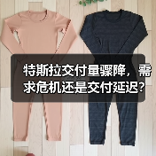 特斯拉交付量骤降,需求危机还是交付延迟?(图3) 特斯拉交付量骤降,需求危机还是交付延迟?(图3)