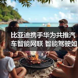 比亚迪携手华为共推汽车智能网联 智能驾驶如何改变未来出行?(图4) 比亚迪携手华为共推汽车智能网联 智能驾驶如何改变未来出行?(图4)