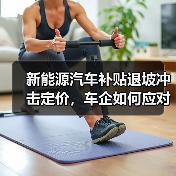 新能源汽车补贴退坡冲击定价,车企如何应对价格波动?(图2) 新能源汽车补贴退坡冲击定价,车企如何应对价格波动?(图2)