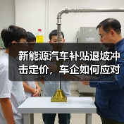 新能源汽车补贴退坡冲击定价,车企如何应对价格波动?(图4) 新能源汽车补贴退坡冲击定价,车企如何应对价格波动?(图4)