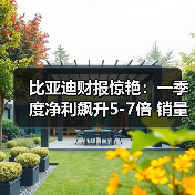 比亚迪财报惊艳：一季度净利飙升5-7倍 销量目标65万辆（图4）