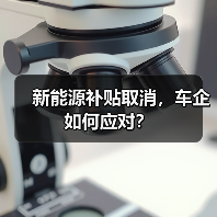 新能源补贴取消，车企如何应对？（图3）
