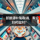 新能源补贴取消，车企如何应对？（图4）