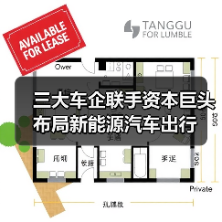 三大车企联手资本巨头布局新能源汽车出行(图2) 三大车企联手资本巨头布局新能源汽车出行(图2)