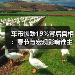 车市惨跌19%背后真相：春节与宏观影响谁主沉浮？（图1）