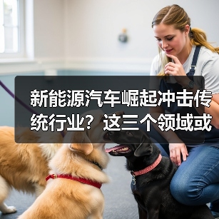 新能源汽车崛起冲击传统行业?这三个领域或将面临大变局(图1) 新能源汽车崛起冲击传统行业?这三个领域或将面临大变局(图1)