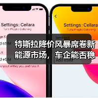 特斯拉降价风暴席卷新能源市场,车企能否稳住阵脚?(图3) 特斯拉降价风暴席卷新能源市场,车企能否稳住阵脚?(图3)