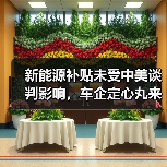新能源补贴未受中美谈判影响,车企定心丸来了?(图4) 新能源补贴未受中美谈判影响,车企定心丸来了?(图4)