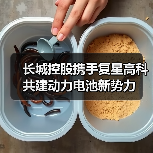 长城控股携手复星高科共建动力电池新势力(图2) 长城控股携手复星高科共建动力电池新势力(图2)
