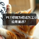 PET标牌为何成为工业应用首选?(图2) PET标牌为何成为工业应用首选?(图2)