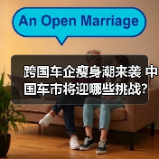 跨国车企瘦身潮来袭 中国车市将迎哪些挑战?(图4) 跨国车企瘦身潮来袭 中国车市将迎哪些挑战?(图4)