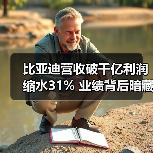 比亚迪营收破千亿利润缩水31% 业绩背后暗藏哪些危机?(图1) 比亚迪营收破千亿利润缩水31% 业绩背后暗藏哪些危机?(图1)