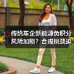 传统车企新能源负积分风险加剧?合规挑战迫在眉睫(图3) 传统车企新能源负积分风险加剧?合规挑战迫在眉睫(图3)