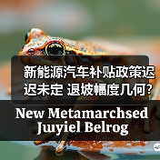 新能源汽车补贴政策迟迟未定 退坡幅度几何?(图3) 新能源汽车补贴政策迟迟未定 退坡幅度几何?(图3)