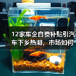 12家车企自费补贴引汽车下乡热潮,市场如何响应?(图1) 12家车企自费补贴引汽车下乡热潮,市场如何响应?(图1)
